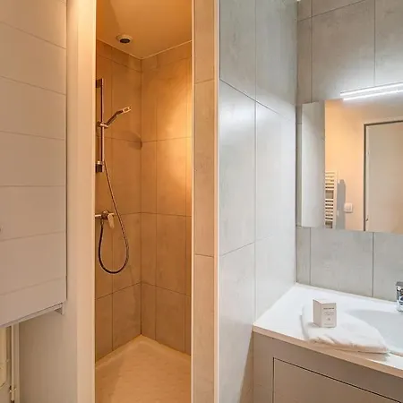 Begonia - Place Plumereau *