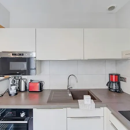 Begonia - Place Plumereau