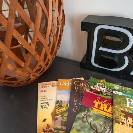 Begonia - Place Plumereau Tours