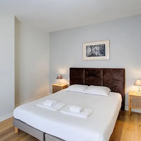 Begonia - Place Plumereau * Tours