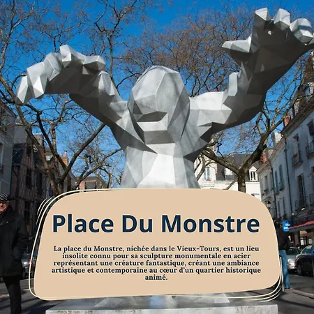 Begonia - Place Plumereau Tours