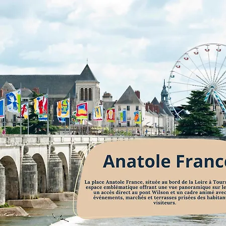 Begonia - Place Plumereau