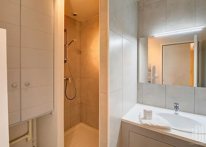 Begonia - Place Plumereau *