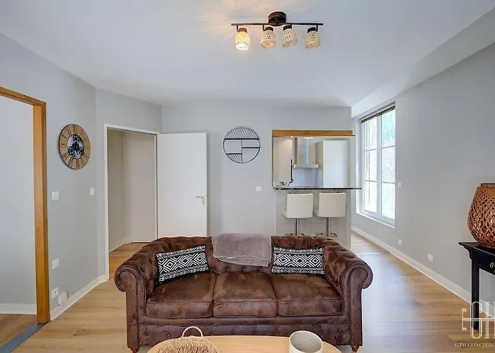 Begonia - Place Plumereau * Tours