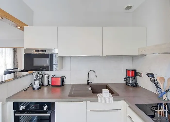 Begonia - Place Plumereau