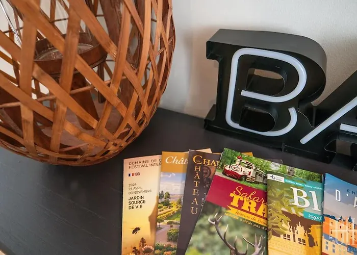 Begonia - Place Plumereau Tours