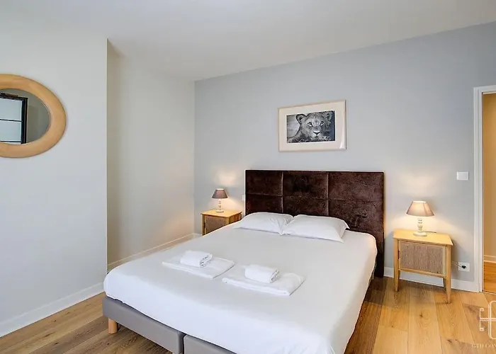 Begonia - Place Plumereau * Tours