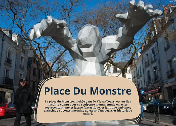 Begonia - Place Plumereau Tours